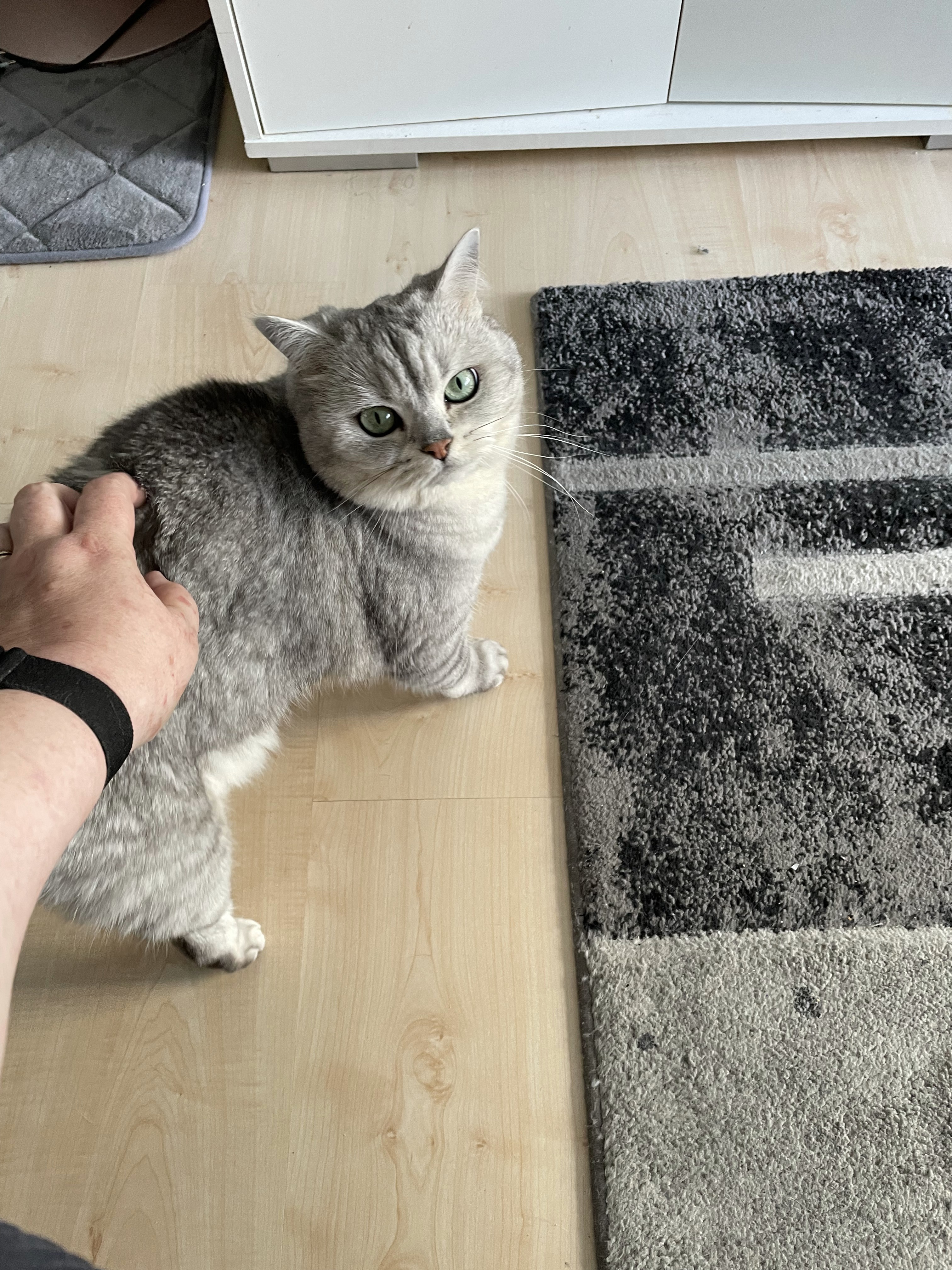 Luna.jpg